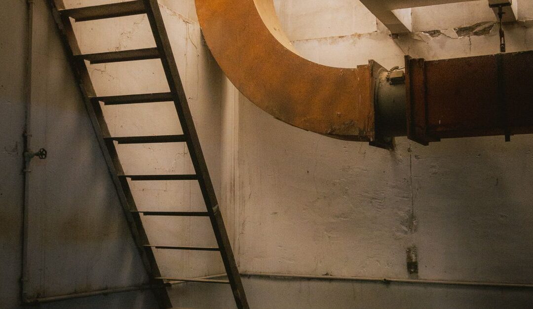 What a Musty Basement Smell Says About Humidity, Mold, and Your Indoor Air