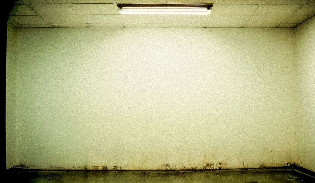 White Powder on Basement Walls: What It Means and When to Worry
